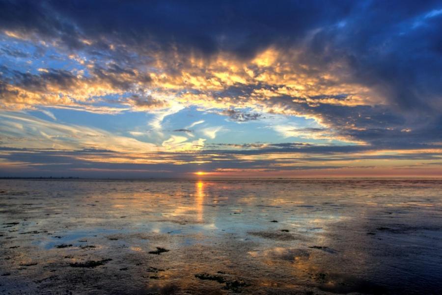 Camping Wad Noch Meer Anna Paulowna Bagian luar foto