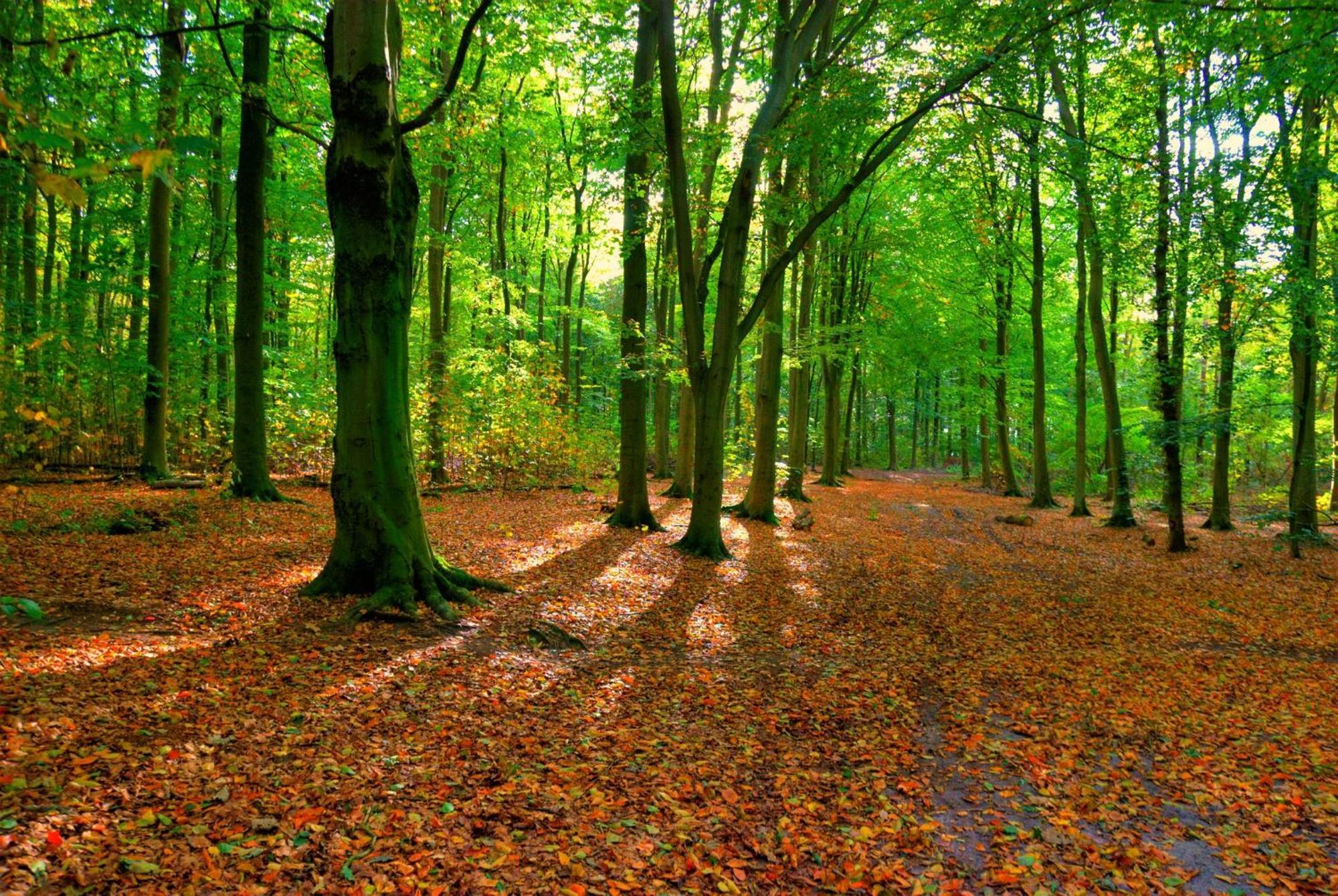 Camping Wad Noch Meer Anna Paulowna Bagian luar foto